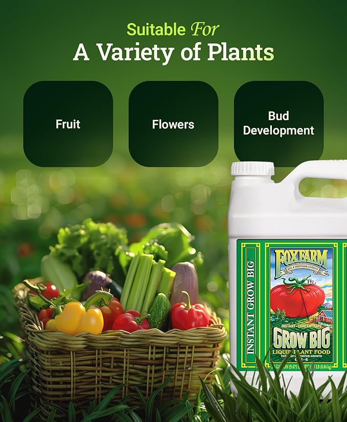 FoxFarm Grow Big Liquid Plant Food - Bloom Fertilizer for Flowers, Fruits, and Vegetables, Perfect for Indoor & Outdoor Potted Plants, NPK 6-4-4 (2.5 Gallons)