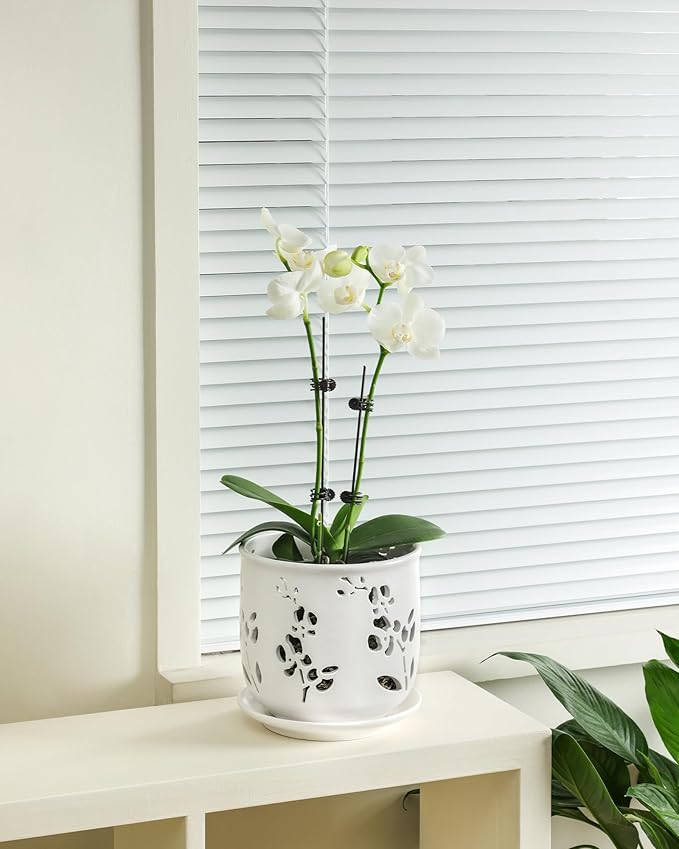 Orchid Pot, 6.5 inch Large Orchid Pots with Holes for Healthy Growth and Easy Repotting, Premium Ceramic Orchid Planter for Indoor and Outdoor Use, (Note : Plant Not Included)