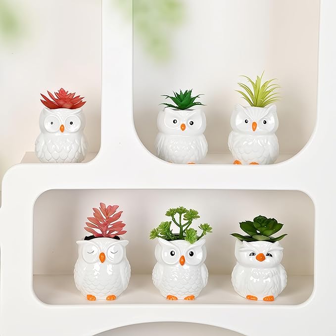 Cute Owl Ceramic Succulent Garden Pots, Planter with Drainage and Attached Saucer, Set of 6, Desk & Home Décor -Plants Not Included