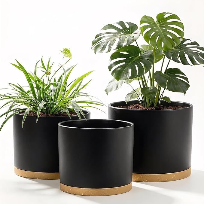 (3 Pack) 10 Inch Plant Pot with Drainage and Saucers, 10/9/8 Inch Plastic Plant Pots for Indoor Plants, Modern Round Planter Set for Flowers, Herbs, Garden Decor (Black-Brown)