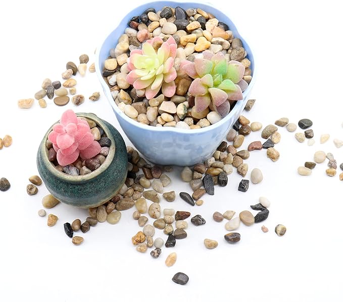 Rocks for Plants. Mixed Color Decorative Pebbles. 1/5 Inch 10 lbs. for Garden, Landscaping, Indoor, Vase fillers, Crafting, Succulents, pots, Plants (Mini, Mixed Color, 10)