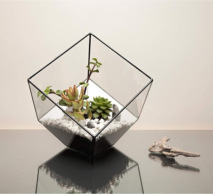 WGV Geometric Planter Terrarium, Width 8" Height 8.5" Clear Glass Black Frame DIY Succulent air Plant Miniature Fairy Garden Windowsill Tabletop Decor, Tilted Cube 1 Piece