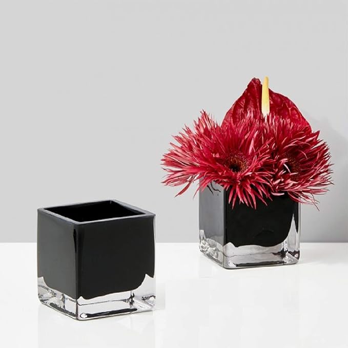 WGV Cube Glass Vase, Candle Holder, 6"x6"x6", Black Elegant Floral Accent Container Planter Terrarium Storage for Wedding Party Home Decor, 1 Piece (VCB0006BK)