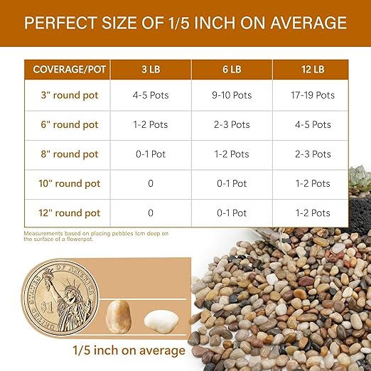 NUPICK 6lb River Rocks for Plants Indoor, 1/5 Inch Mixed Pebbles for Vase Fillers, Decorative Pea Gravel for Fish Tank, Natural Polished Stones for Succulent, Bonsai, Landscaping, Bird Baths