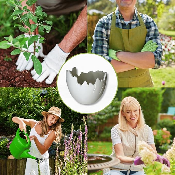 Chatelet Dinosaur Egg Shell Planter | Unique Dinosaur Tabletop Indoor or Outdoor Planter Pot | Flowers, Succulents, or Vegetable Pot | Made in USA (Large White)