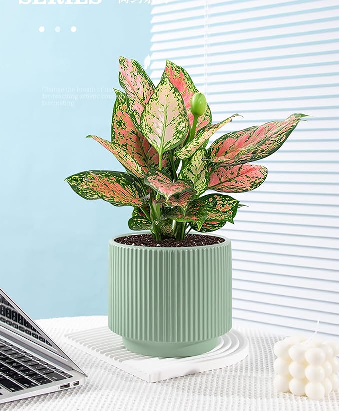 Ceramic 4.9+6.3 inch Planters, Modern Home and Office Flowerpot, Indoor and Outdoor Flowerpot with Drainage Hole (Green)