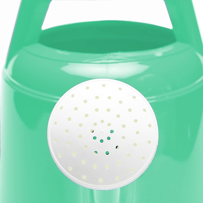 Bloem Deluxe 2 Gallon (256 Fl Oz) Mint Green Resin Watering Can for Indoor and Outdoor Use