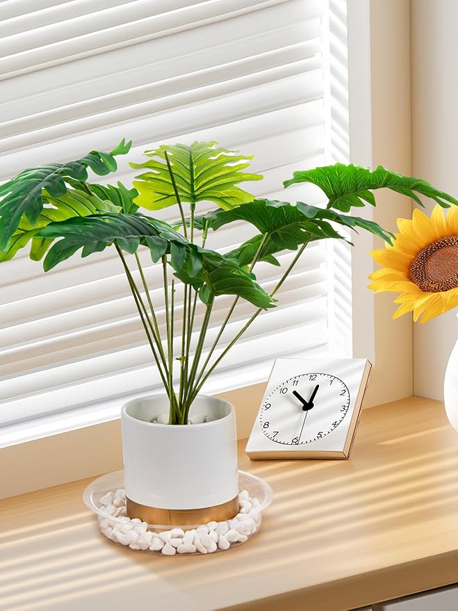 GROWNEER 15 Packs 8 Inches Clear Plant Saucers Flower Pot Trays, with 15 Pcs Plant Labels, Plastic Plant Saucer Drip Trays for Indoor Outdoor Plants Garden