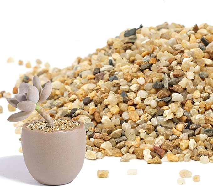 Coarse Sand Stone - Succulents and Cactus Bonsai DIY Projects Rocks, Decorative Gravel for Plants and Vases Fillers，Terrarium, Fairy Gardening, Natural Stone Top Dressing for Potted Plants.1.6lb