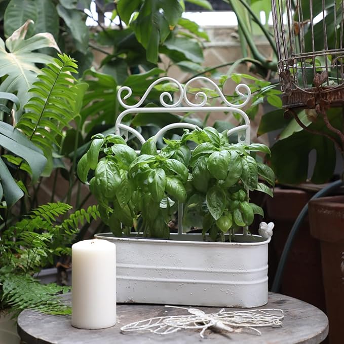 Vintage Rustic Wall Planter Distressed Decor Iron Hanging Plant Basket Shabby Metal Wall Mounted Flower Holder Pot Stand for Indoor Outdoor Home Balcony Patio Farmhouse Garden Decorative White
