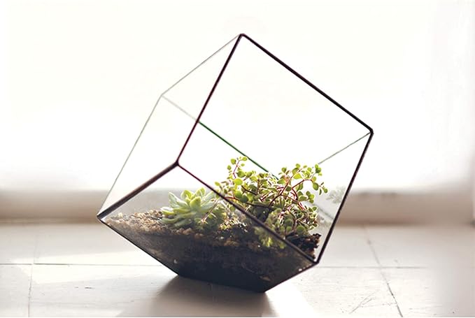 WGV Geometric Planter Terrarium, Width 8" Height 8.5" Clear Glass Black Frame DIY Succulent air Plant Miniature Fairy Garden Windowsill Tabletop Decor, Tilted Cube 1 Piece