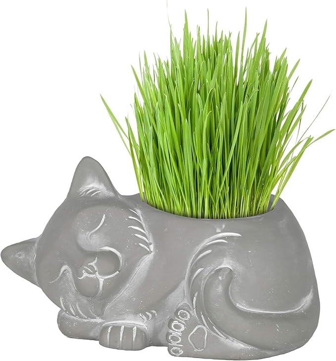 Classic Home and Garden Cement Buddies Animal Planter - Cute Desk Decoration - UV Coated Animal Vase w/Drain Plug - Succulent Plant Pot for Indoor/Outdoor Use (Cat Planter, Natural, Small)