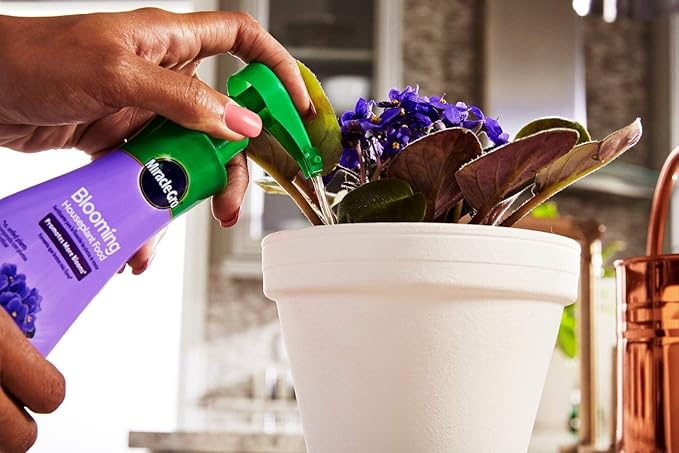 Miracle-Gro Blooming Houseplant Food, 8 oz., Plant Food Feeds All Flowering Houseplants Instantly, Including African Violets, 2 Pack