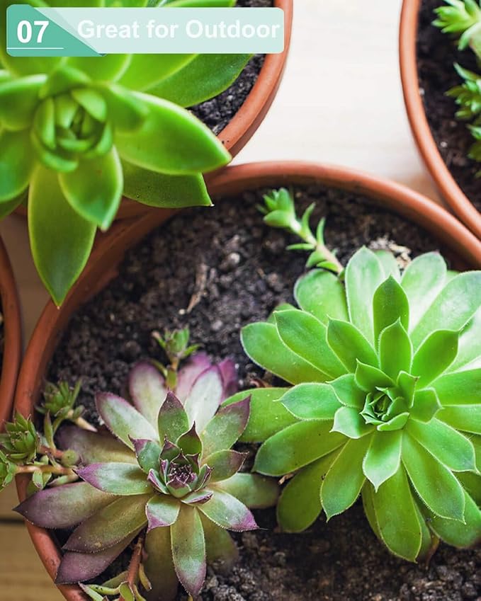 vensovo 5.7 Inch White Terracotta Shallow Succulent Pots - 6 Pack Terra Cotta Clay Pot with Saucer, Cacuts Indoor and Outdoor Planters with Drainage Hole