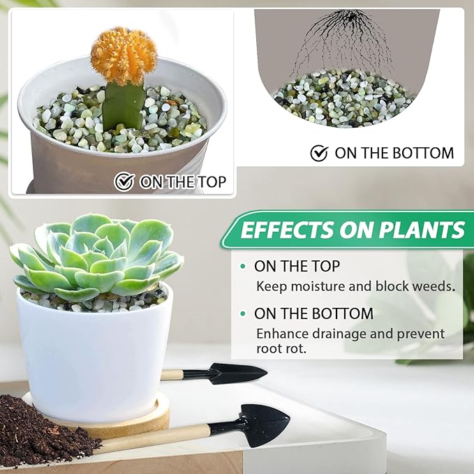 Succulent Rocks for Plants Tiny Pebbles for Planters 4.8LB Pea Gravel Bulk Course Sand Soil Small Decorative Stones for Indoor Bonsai Pots Cactus Top Dressing Aquarium Garden Landscape, Green