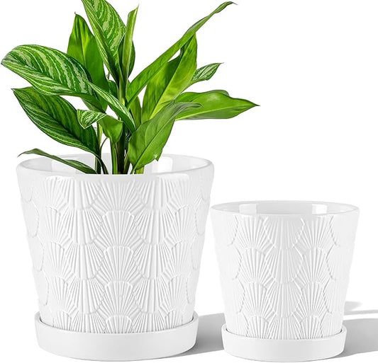 Ceramic Planter,5+6 Inch Ceramic Flower Pots with Drainage Hole&Tray,Embossed Seashell Design Plant pots,Planters for Indoor Plants Succulent Cactus,Flower Pot Home Decor-Set of 2,White