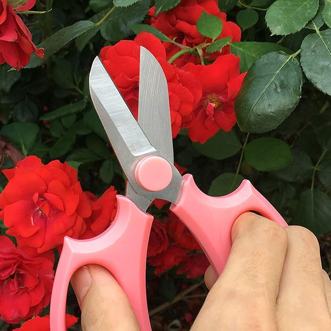 Garden Pruning Shears Scissors with Comfort Grip Handle, Premium Steel Professional Floral Scissors, Perfect for Arranging Flowers, Pruning, Trimming Plants, Gardening Tool (4PC Mix color)