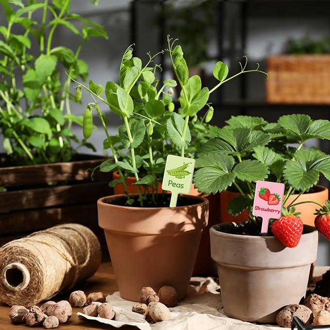 UPINS 24Pcs Acrylic Vegetable Labels Signs for Outside Garden Waterproof Plant Labels Markers Tags Signs with Printed Name for Indoor Outdoor Gardens Plants Potted