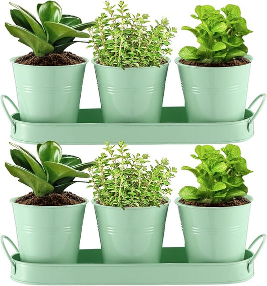 Hicarer 2 Sets Herb Planter with Tray Metal Herb Garden Planter with Drainage Farmhouse Windowsill Pots for Indoor Plants Flower Succulent Outdoor Kitchen Apartment Balcony Window (Green)