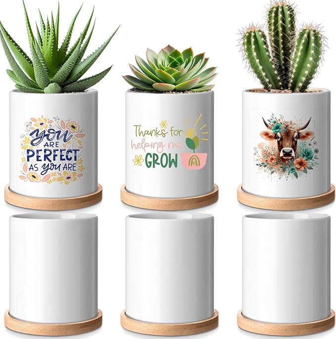 6 Pcs Sublimation Flower Pot Blanks Mini 3.2 in Garden Ceramic Succulent Planter Pot with Bamboo Tray with Drainage Hole Thank You Gifts for Employee Appreciation Plant Lover