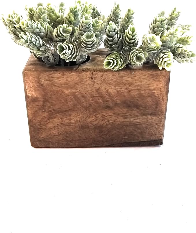 Rustic Farmhouse Wooden Candle Holder- Sugar Mold Candle Holder- Succulent Planter (2 Hole)