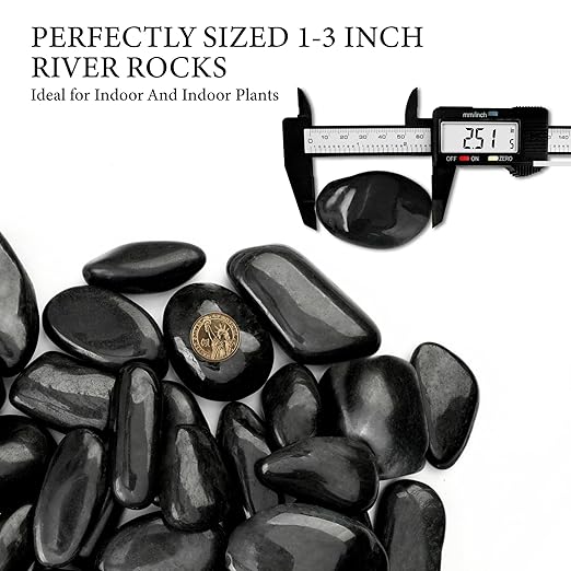 18lb Black River Rocks for Plants, 1-3 Inch Pebbles for Indoor Plants, Polished Garden Rocks Outdoor Landscaping, Decorative Stones for Vases, Succulents, Aquarium, Walkways