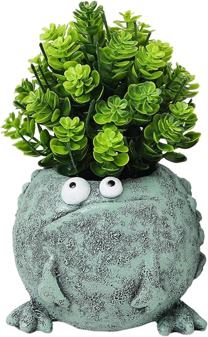 Big and Small Eye Frog Planter - Fun Succulent Planter for Indoor and Outdoor Tabletop Decorations, Wacky Frogs, Christmas/Birthday Fun Gift. (Frog B)