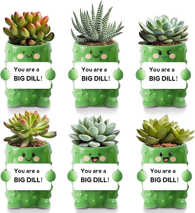 6 Pack 2.5 Inch Pickle Ceramic Succulent Planter Pots with Drainage Hole, Mini Cute Flower Pots Container for Home Office Garden Decoration Emotional Support Buddies Christmas Housewarming Gifts