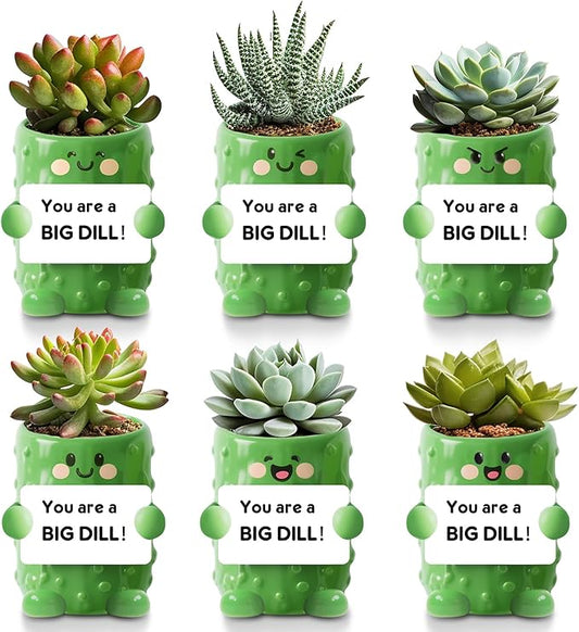 6 Pack 2.5 Inch Pickle Ceramic Succulent Planter Pots with Drainage Hole, Mini Cute Flower Pots Container for Home Office Garden Decoration Emotional Support Buddies Christmas Housewarming Gifts