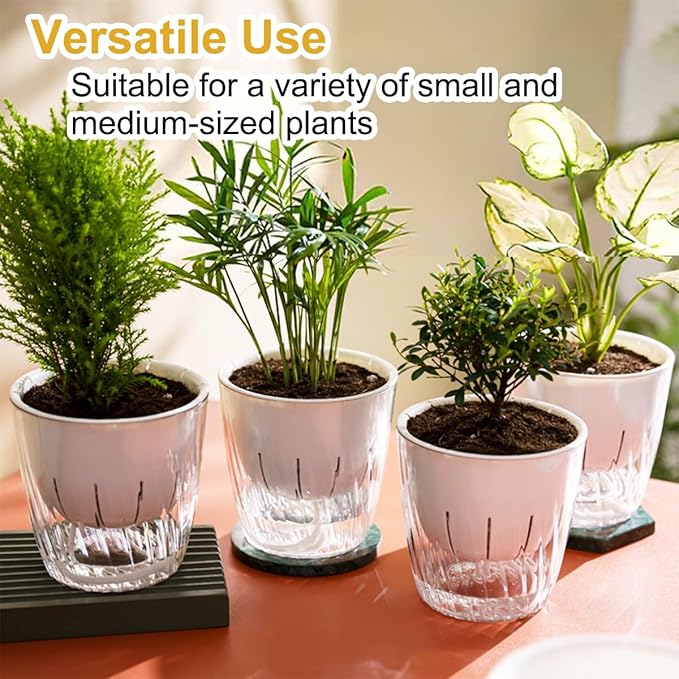 2 Pack 6 Inch Self Watering Pots for Indoor Plants, Self Watering Planter with Reservoir and Wick Rope, Clear Flower Plant Pots for African Violets,Succulents,Herbs,Cactus,Orchids