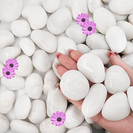 NUPICK 6lb White River Rocks for Plants Indoor, 1-2Inch Pebbles for Vases Fillers, Decorative Gravel for Fish Tank, Natural Polished Stones for Succulent, Bonsai, Landscaping, Bird Baths