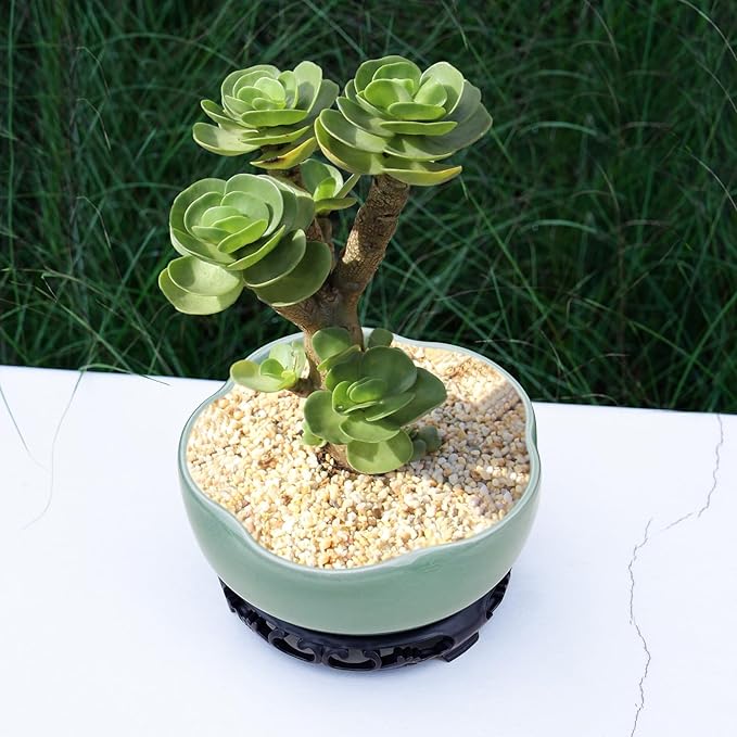 Green Ceramic Planters with Plastic Tray: 7.5" Hole-Free Lotus Bowl Planter for Hydroponic Water Lilies | Indoor/Outdoor Artistry Ice Crack Glaze Decorative Planter