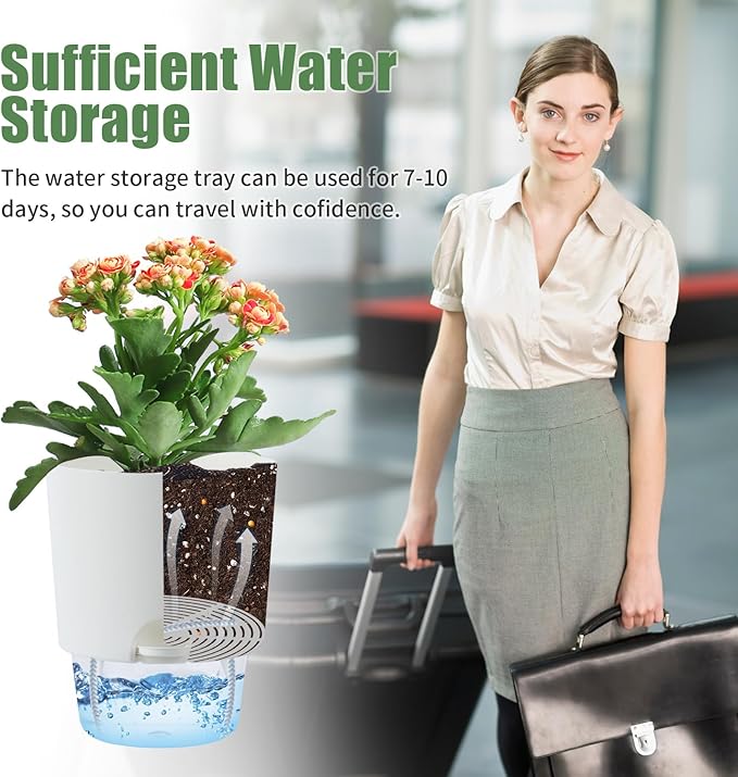 6 Inch Self Watering Planter Pots for Indoor Plants, 3 Packs African Violet Pots with Wick Rope and Visible Reservoir Self Watering Planter for Herb, Houseplants