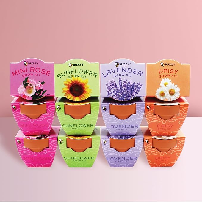 BUZZY Seeds Terracotta Mini Grow Pots, Flower Starter Kit, Assorted 12-Pack, Bright Series Collection Daisy, Lavender, Mini Rose, Sunflower Seeds, Gardening Gift, Party Favors, Weddings, Showers
