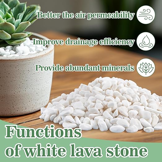 Sukh White Pebbles for Succulent and Cactus - 420G 1/5 Inch Succulent Cactus Gravel Pebbles,Natural Decorative Polished River Stones,Small River Rocks for Outdoor Gardening,Vases,Landscaping,Fish Tank