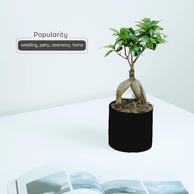 WGVI Matte Black Ceramic Cylinder Vase Width 5.5" Height 5", Flower Arrangements, Candle Holder, Terrarium Planter Pot, Storage Container Organizer, Pen Brush Holder, Tabletop Decor, Bulk, 12 Pcs