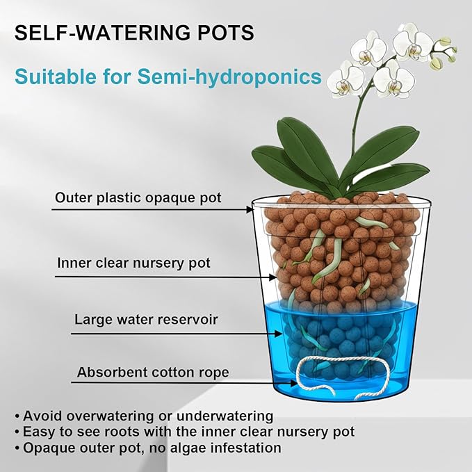 3 Pack of 6in Plastic Cachepot with 6 inch Clear nusery Pot - self Watering Indoor Planter with Drainage for Root Visibility,semi Hydro pots for repotting Orchids,Aroid or Monstera,Black