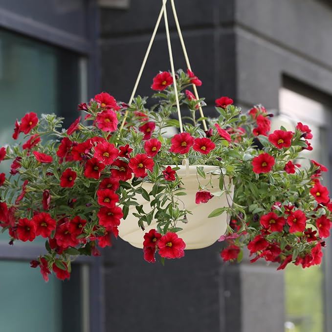 58 Pcs Plastic Hanging Planter Set with 2 Sets Potting Tools, Indoor Outdoor Flower Containers with Hooks Round Hanging Pots for Plants, Balcony and Garden Decor