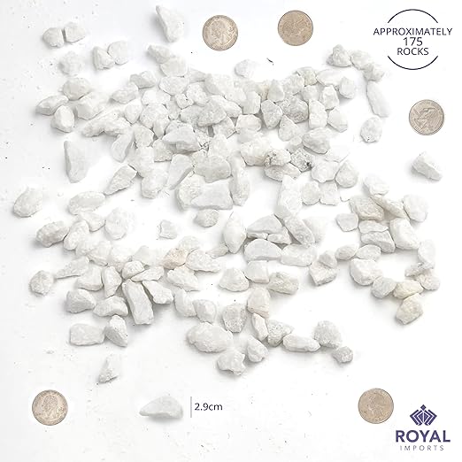 River Rocks Decorative Ornamental Vase Filler Aquarium Gravel White, Mini 5 lbs - Landscaping Pebbles for Indoor Plants, Fish Tank Gravel, Terrarium & Home Decor, DIY & Crafting – Royal Imports