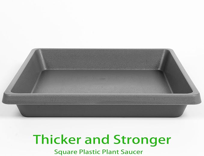 Plant Saucer 12 Inch Square 2 Pack, Plastic Plant Drip Trays, Plant Saucers for Indoors and Outdoors, Flower Pot Saucers, Saucers for Potted Plants, Planter Saucer, Plant Water Catcher Trays for Pots