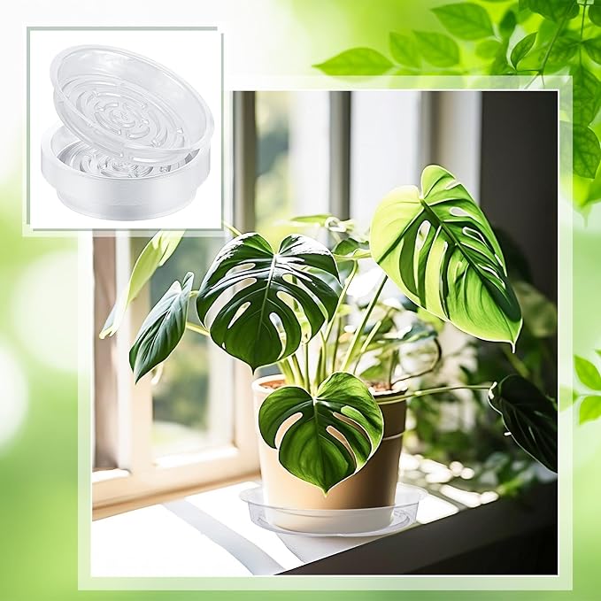 Thyle 200 Pack Clear Plastic Plant Saucer 8 Inch Plant Drip Tray Bulk Plant Water Catcher Tray Flower Pot Drip Trays Round Plant Drainage Tray for Indoor Planters Outdoor Garden Spring Supplies
