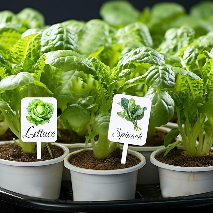 20Pcs Garden Signs for Vegetables 20 Styles Garden Markers for Vegetables Outdoor Garden Labels Markers Waterproof Reusable Plant Stakes Tags with Names for Vegetable Indoor Outdoor Decoration