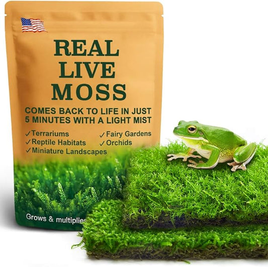 Live Moss Duo Pack 2 Types of Real Live Sheet/Sphagnum Moss for Terrariums, Terrarium Mosses Landscaping, Reptile Tank Accessories, Snake & Gecko Humidity Substrate Mosses for Crafts & Plant Décor