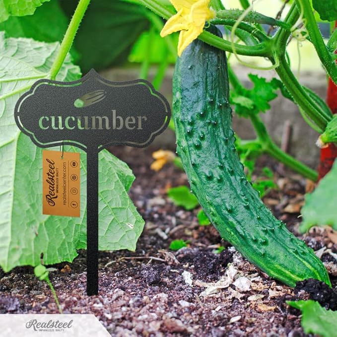 RealSteel - Seed & Plant Markers - Indoor/Outdoor Herb Garden Stakes - Elegant Fruit/Vegetable Seed Labels - Durable Plant Tags for Pots - Classy Design for Farmhouse/Greenhouse (Thyme)