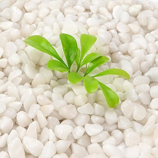 5 lb Jade Pebbles for Indoor Plants, 3/8 Inch Polished Decorative Pebbles for Vase, Bamboo, Succulent, Garden Landscape Decoration River Stone