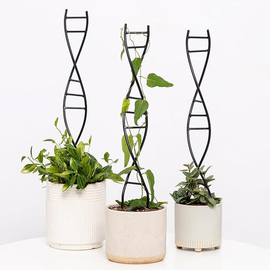 3 Pcs Indoor Plant Trellis Set - Black Metal DNA Design for Potted Plants, Small Houseplants & Climbing Support - Modern Home Decor & Vertical Garden Display - Perfect for Indoor & Outdoor Use