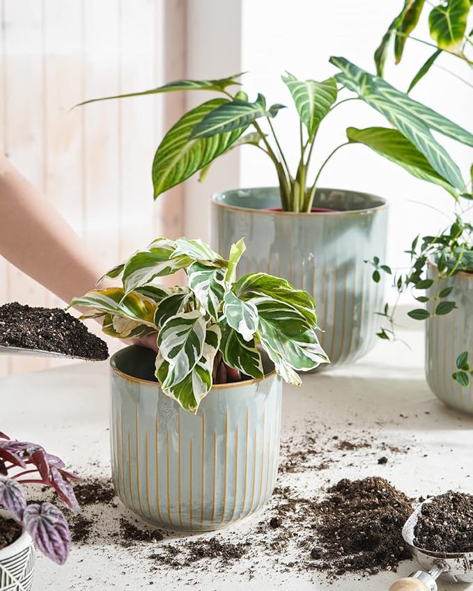 LE TAUCI Fluted Ceramic Pots for Plants, 8.3/7/6 Inch Indoor Planters with Drainage Holes & Mesh, Modern Glossy Glaze Cylinder Plant Pot for Snake Plant, Set of 3, Mist Gray