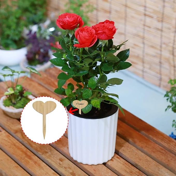 ONLYKXY 30 Pieces Plant Labels, Bamboo Plant Seed Labels Set, Wooden Plant Sign Tags, Nursery Garden Herbs Flowers Vegetables Seed Potted Plants Markers (Heart Shaped Plant Labels)