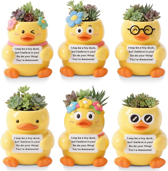 Roshtia 6 Pack 2.5 Inch Duck Ceramic Succulent Planter Pots with Drainage Hole, Mini Cute Flower Pots Container for Home Office Garden Decoration Emotional Support Buddies Christmas Housewarming Gifts
