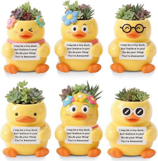 Roshtia 6 Pack 2.5 Inch Duck Ceramic Succulent Planter Pots with Drainage Hole, Mini Cute Flower Pots Container for Home Office Garden Decoration Emotional Support Buddies Christmas Housewarming Gifts